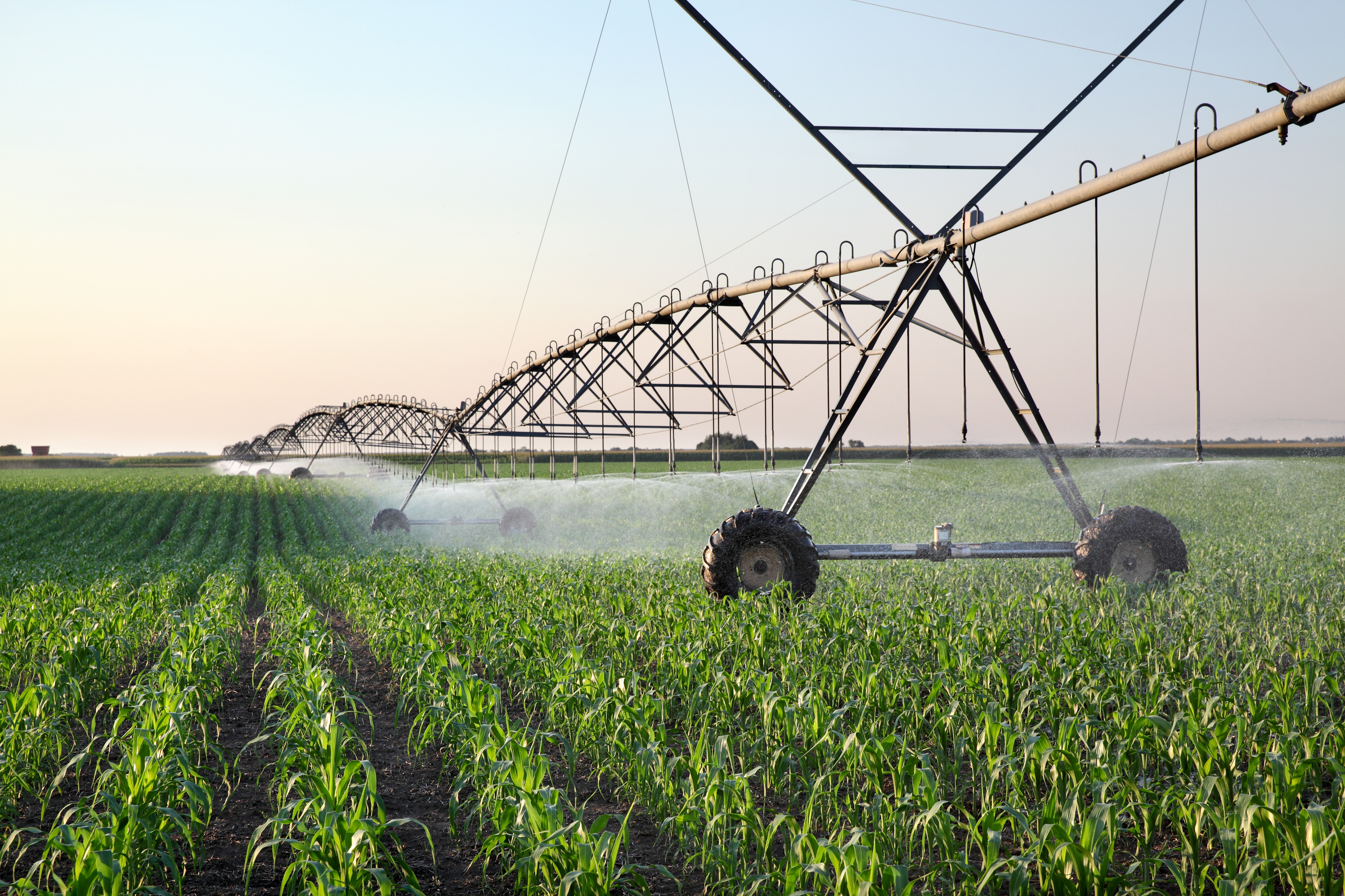 Irrigation System